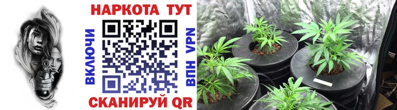 Где продают наркотики Шахты Каннабис  Меф мяу мяу  Alpha PVP  ГЕРОИН  Кетамин  ГАШИШ  Кокаин 