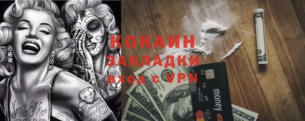 ГАЛЛЮЦИНОГЕННЫЕ ГРИБЫ Верея