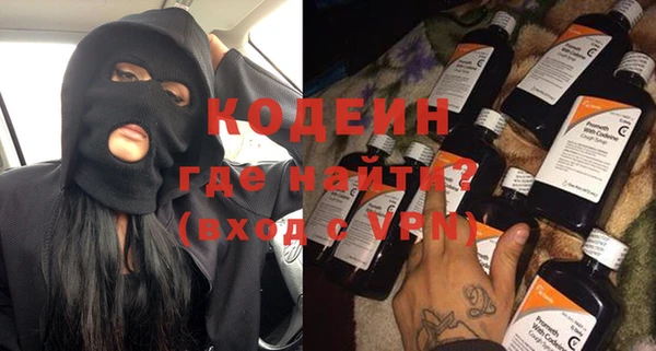 хмурый Бородино