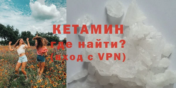 ГАЛЛЮЦИНОГЕННЫЕ ГРИБЫ Верея