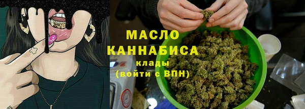 хмурый Бородино