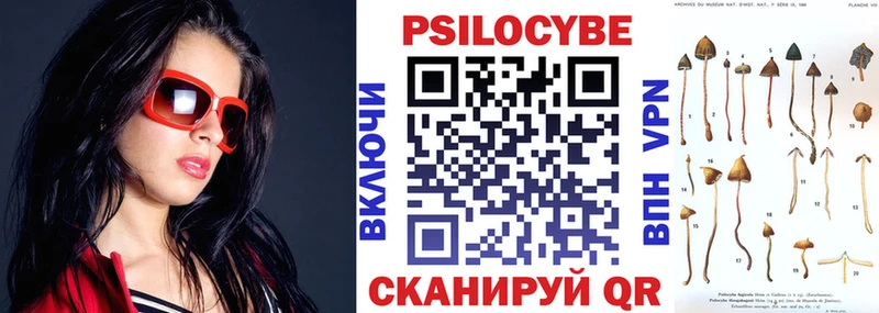 Галлюциногенные грибы Psilocybe  Шахты 